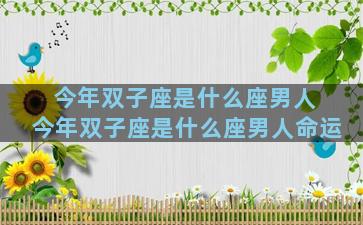 今年双子座是什么座男人 今年双子座是什么座男人命运